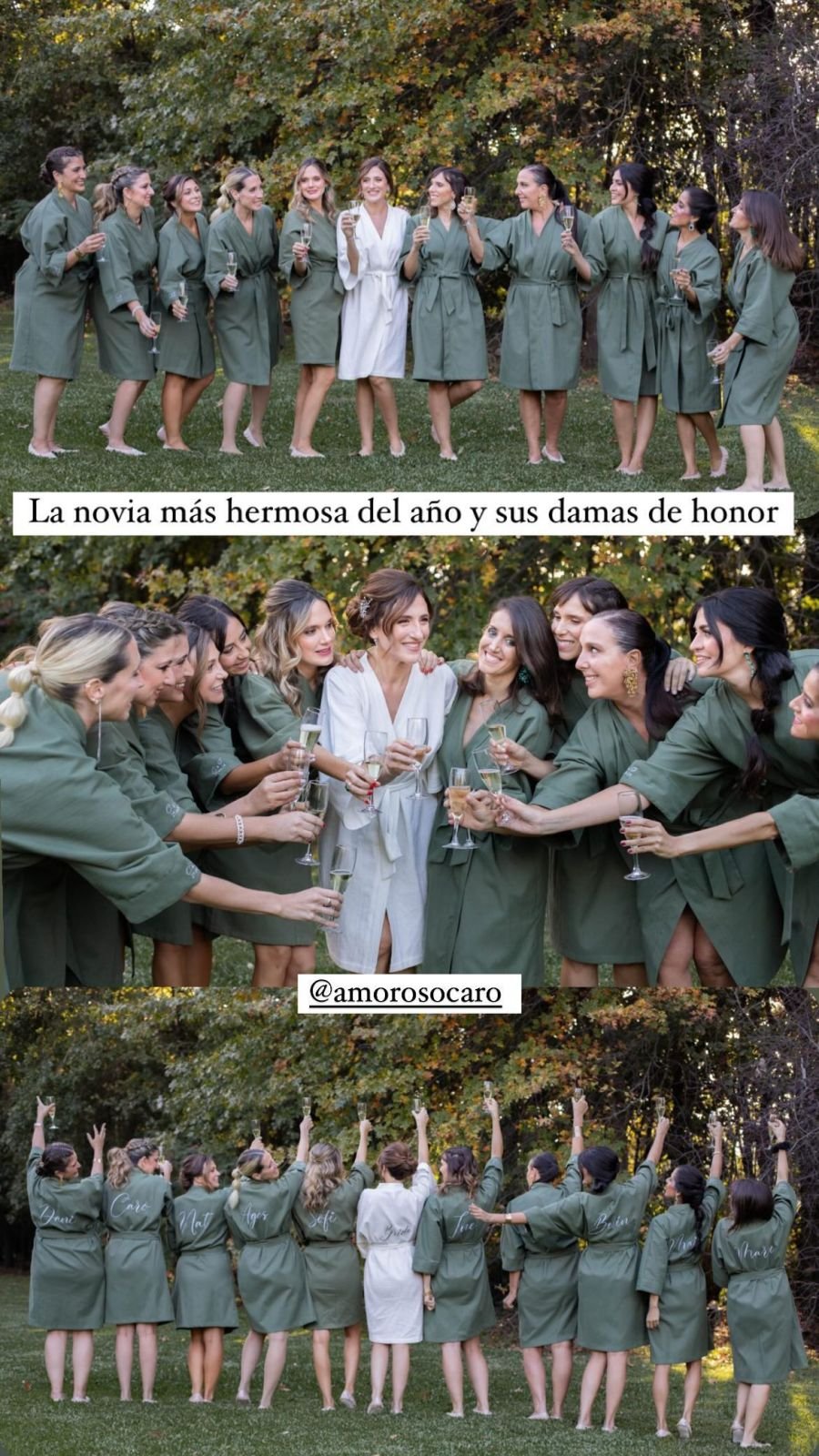 Los mejores looks en la boda de Carolina Amoroso y Guido Covini