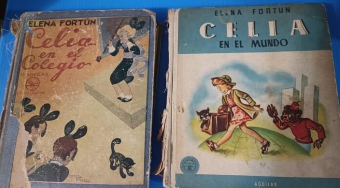 Un libro para leer con los chicos: hoy recomienda María Rosa Lojo