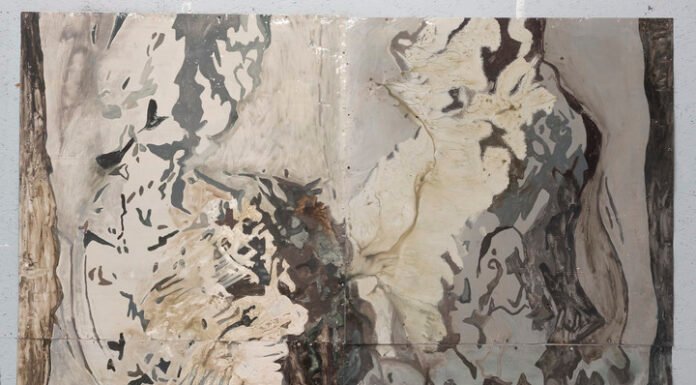 Hernán Salamanco y una invitación a pensar en la naturaleza de los materiales