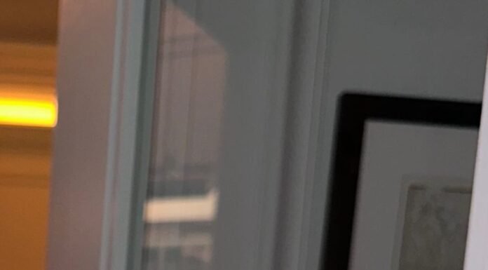 Stefi Roitman celebra el cumpleaños de Ricky Montaner con un tatuaje especial y una semana de festejos