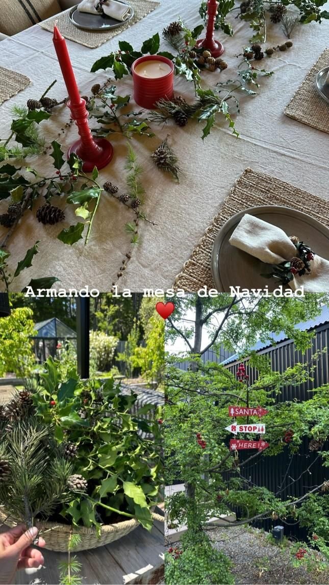 De Juliana Awada a Nicole Neumann y Wanda Nara, las mejores decoraciones de mesas navideñas 