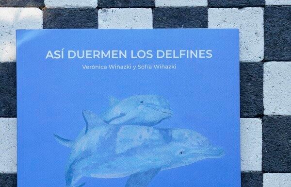 «Así duermen los delfines»: historia de un arrorró desesperado