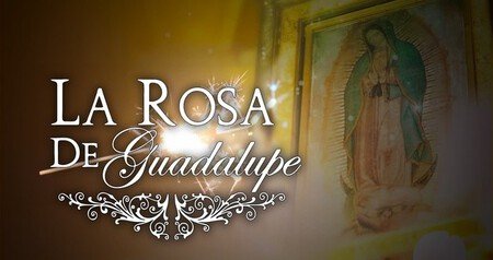 Rosa Guadalupe