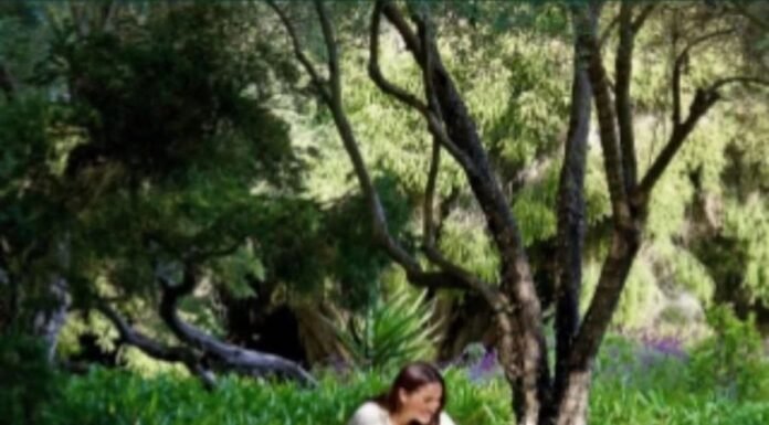 Dónde vive Archie de Sussex, el hijo de Meghan Markle y el príncipe Harry