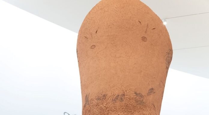 Imán Uruguay: los imperdibles de la temporada de arte