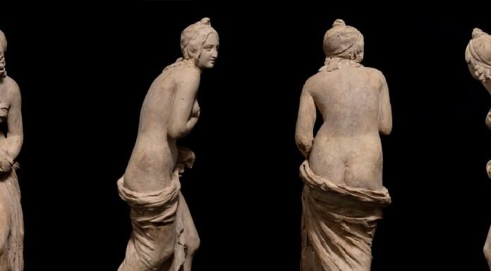La «Venus bañista» de Luigi Pampaloni: nueva joya en la Galería de la Academia de Florencia