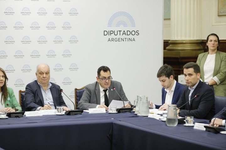 Leonardo Cifelli brindó en Diputados detalles de los fondos que se le asignarán a Cultura en el Presupuesto 2025.