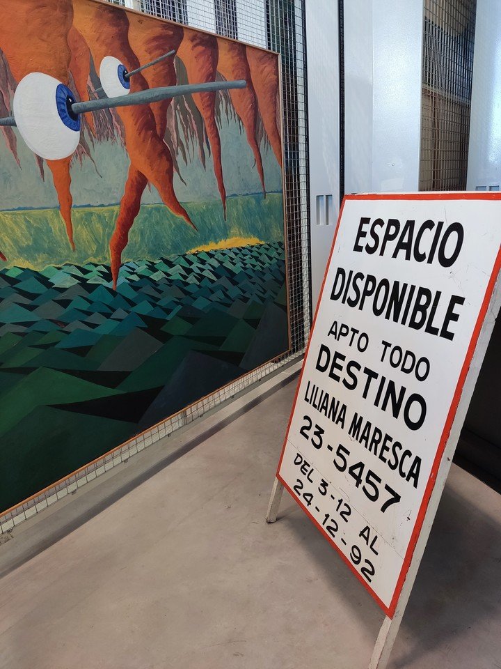 Reservados de Ivana Vollaro en Malba Puertos. Foto: Clarín.