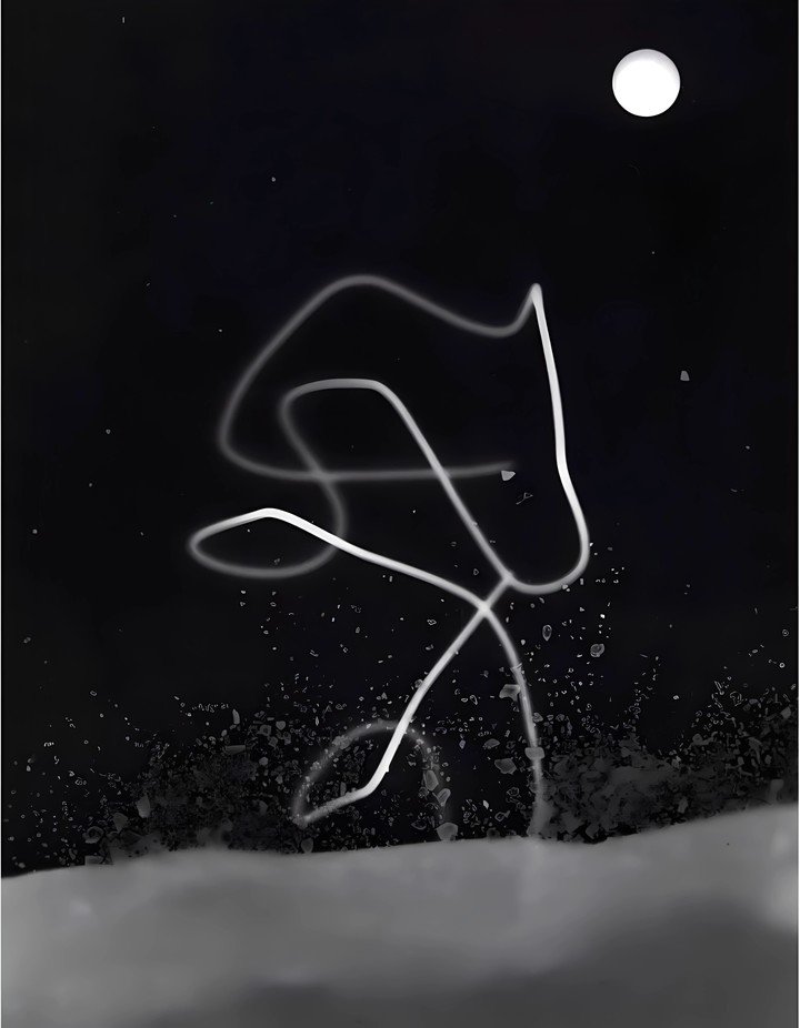 Dora Maar, Composición abstracta, c. 1980. Fotografía, 17,7 x 24 cm. Cortesía de Amar Gallery, Amar Singh & Camila San Martín, MACBA.