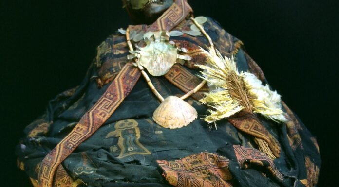 España quiere borrar parte de su pasado colonial y retira restos humanos americanos de sus museos