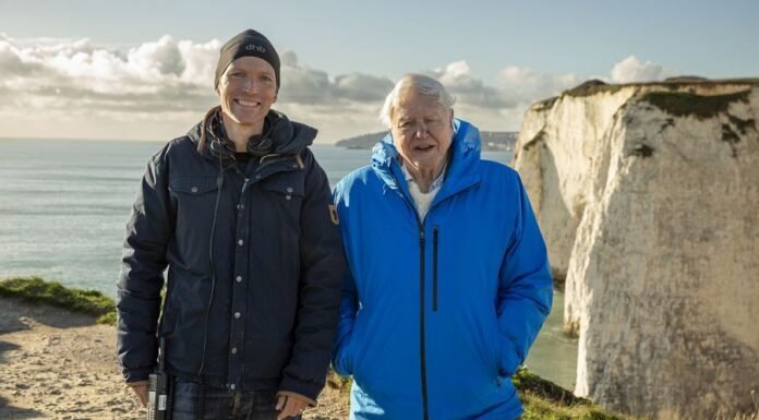 La pesca de arrastre industrial depreda el fondo marino y emite dióxido de carbono
