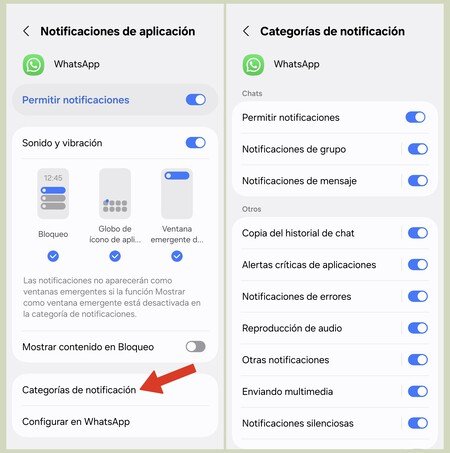 Notificaciones 5
