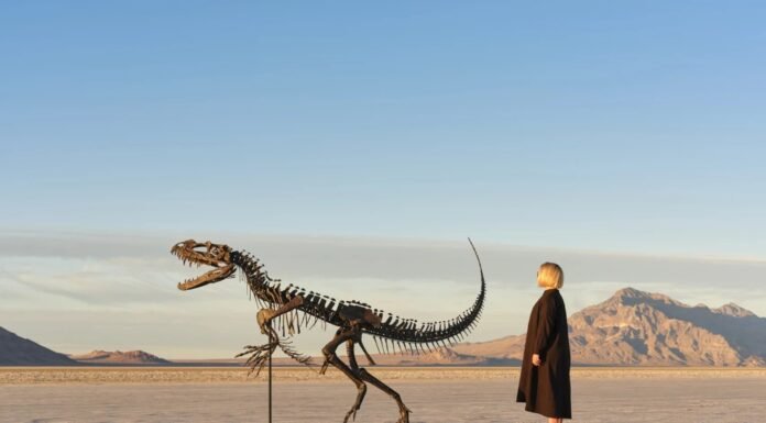 Sotheby’s subasta el esqueleto de Ceratosaurus: El único ejemplar juvenil conocido