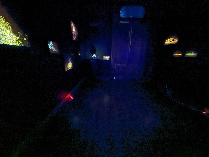 Constelación de fotografías en una sala a oscuras de Fer Zannol, en Confluencias. Foto: gentileza.