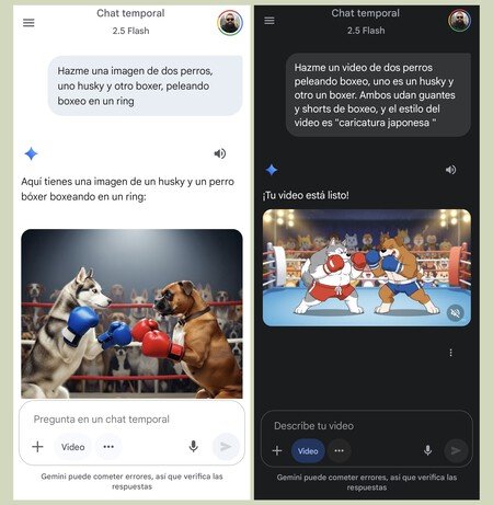 Video Google