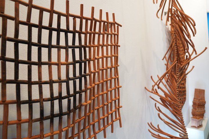 A la derecha, Cota vegetal II de la serie TERRACOTA/tierra coscida. 