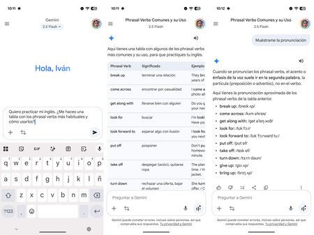 Gemini App Idiomas