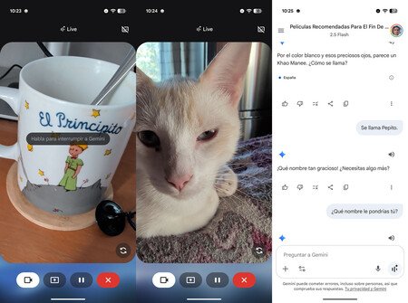 Identificación mediante Gemini Live y la cámara