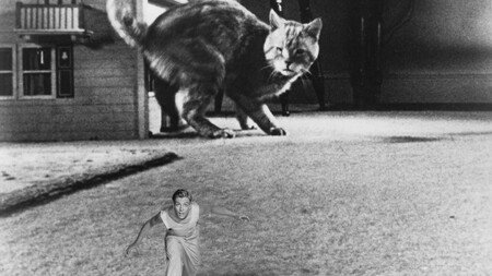 'El increíble hombre menguante' (1957)