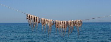 Inglaterra está viviendo una invasión sin precedentes. El problema es que son pulpos, y están devorando todo lo que encuentran