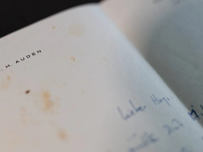 Descubren un centenar de cartas inéditas del escritor W. H