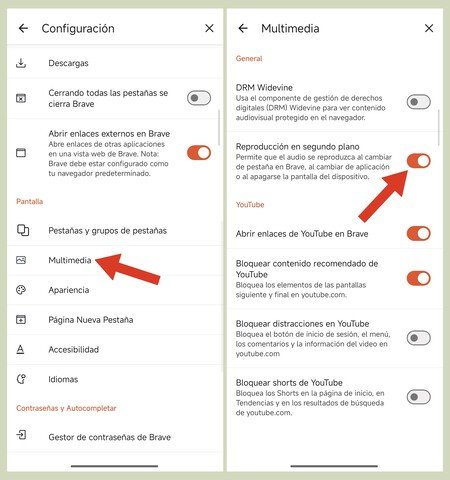 Youtube Sin Premium 3