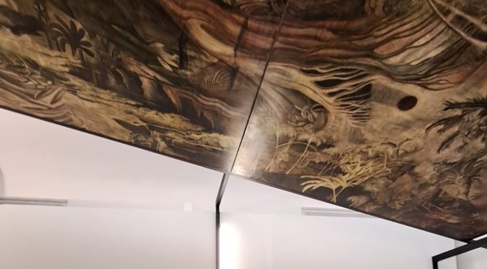 Bienalsur 2025: seis artistas argentinos exploran la relación entre lo humano y la naturaleza en Italia