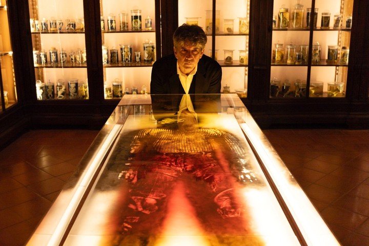 Pablo da Padula, Biensalsur en Nápoles. Museo de Anatomía (MUSA), del Sistema Museale dell’università degli Studi della Campania Luigi Vanvitelli de Nápoles.