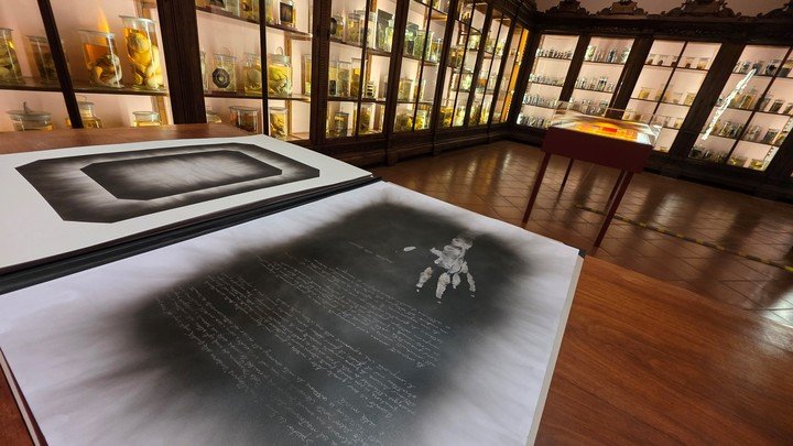 Pablo da Padula, Biensalsur en Nápoles. Museo de Anatomía (MUSA), del Sistema Museale dell’università degli Studi della Campania Luigi Vanvitelli de Nápoles, nacido en el año 1224.