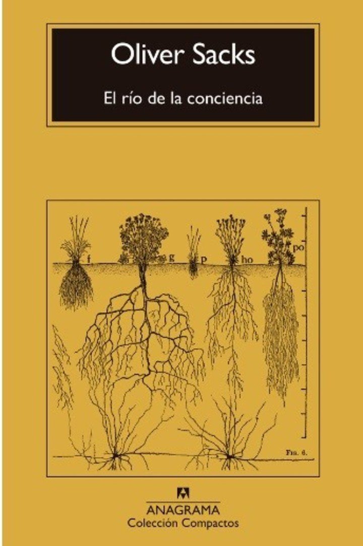 El río de la conciencia, de Oliver Sacks (Anagrama). Foto: gentileza.