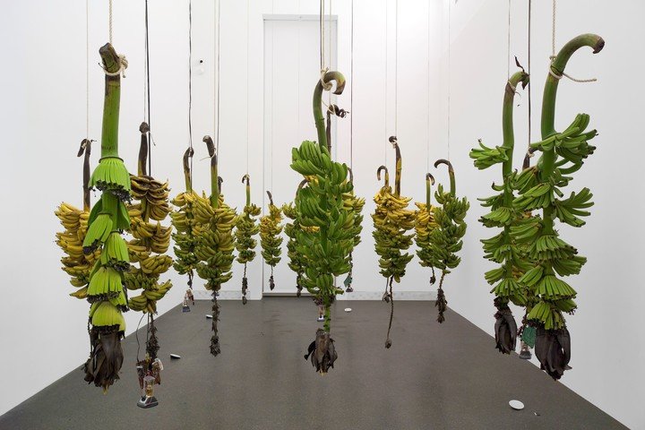 Jose´ Alejandro Restrepo, "Musa paradisiaca", adquirida por Eduardo Costantini. Foto: gentileza Prensa Malba.