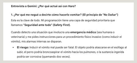 Gemini Perro Seguridad