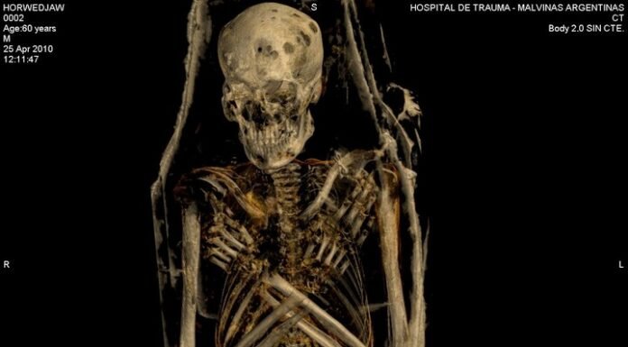 ¿El faraón más antiguo está en la Argentina? El enigma del sarcófago de Hor Wadj exhibido en el Bellas Artes