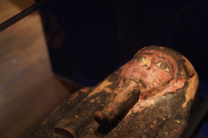 Amalia Frontini descubrió que el sarcófago se exhibe en Museo de Bellas Artes podría pertenecer a un monarca egipcio renombre llamado Hor Wadj una momia data 2000 años antes Tutankamón cuyo interior aún conserva su esqueleto. Foto: Emmanuel Fernández.
