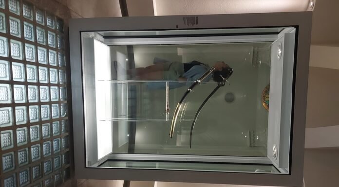 Sable corvo de San Martín: Milei firmó el decreto que lo transfiere y renunció la directora del museo