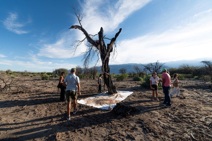 La muestra Homenaje a los caídos, de Otto Soria, se realizó en medio del paisaje afectado y convocó a los visitantes a dibujar y contemplar la naturaleza. Foto: gentileza.