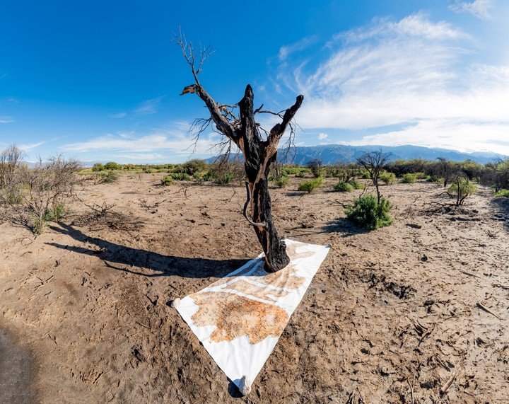 La muestra Homenaje a los caídos, de Otto Soria, se realizó en medio del paisaje afectado y convocó a los visitantes a dibujar y contemplar la naturaleza. Foto: gentileza.