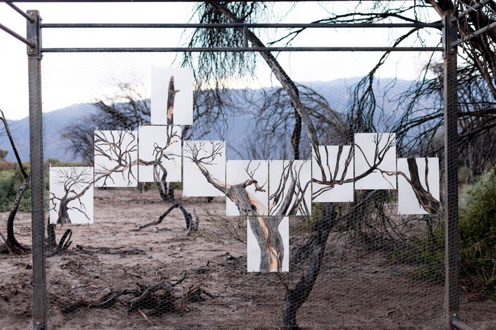 La muestra Homenaje a los caídos, de Otto Soria, se realizó en medio del paisaje afectado y convocó a los visitantes a dibujar y contemplar la naturaleza. Foto: gentileza.
