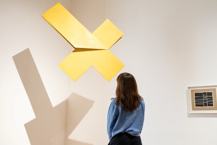 Latinoamérica en expansión, nuevo montaje de la colección del Malba y de Eduardo Costantini. Foto: Alejandro Guyot, gentileza.