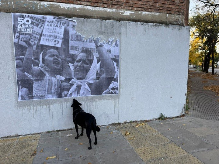 Una madre joven con su pequeña hija, ambas unidas por el llanto y el pañuelo blanco en el retrato de Adriana Lestido. Foto: gentileza.