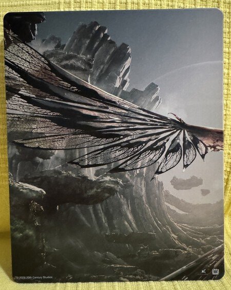 Contraportada