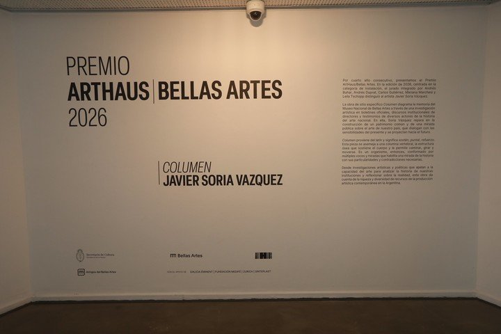 “Columen”, de Javier Soria Vázquez, es la obra ganadora del Premio ArtHaus/Bellas Artes 2026 que se exhibe en el segundo piso del Museo Nacional de Bellas Artes. Foto: Gustavo Cantoni, gentileza MNBA.