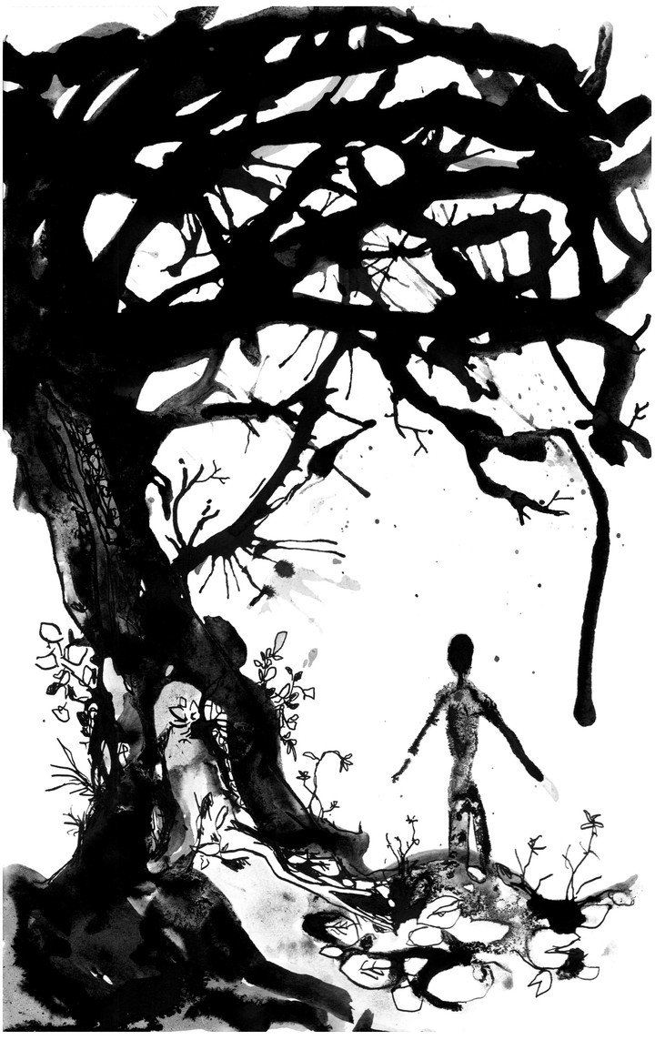 Las ilustraciones de Arturo Garrido acompañan los cuentos de Poe sin buscar una traducción literal. Foto: gentileza Páginas de Espuma.