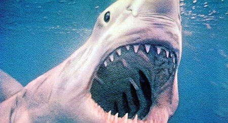 Blue Water White Death Rotten Tomatoes