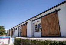 NODO Circuito Neuquén llega en noviembre a sacudir la escena artística local