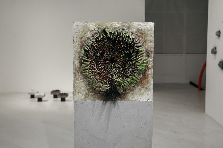 Obra de Lucrecia Literas en la muestra Trama Invisible: Cielo-Tierra-Corazón, en la sala "Arq. Clorindo Testa" del Fondo Nacional de las Artes. Foto: gentileza.