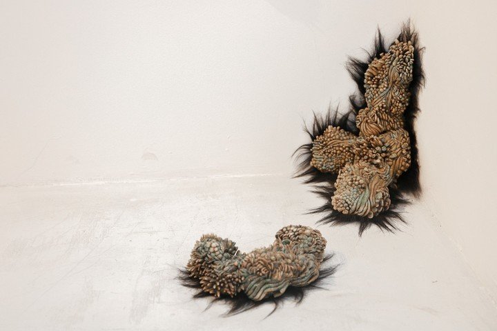Obra de Lucrecia Literas en la muestra Trama Invisible: Cielo-Tierra-Corazón, en la sala "Arq. Clorindo Testa" del Fondo Nacional de las Artes. Foto: gentileza.